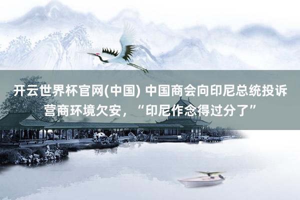 开云世界杯官网(中国) 中国商会向印尼总统投诉营商环境欠安，“印尼作念得过分了”