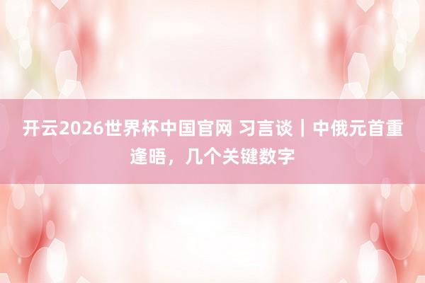 开云2026世界杯中国官网 习言谈｜中俄元首重逢晤，几个关键数字