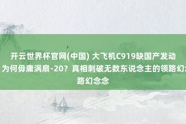 开云世界杯官网(中国) 大飞机C919缺国产发动机，为何毋庸涡扇-20？真相刺破无数东说念主的领路幻念念