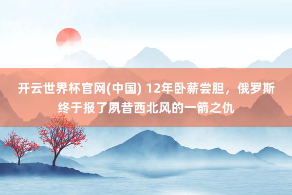 开云世界杯官网(中国) 12年卧薪尝胆，俄罗斯终于报了夙昔西北风的一箭之仇
