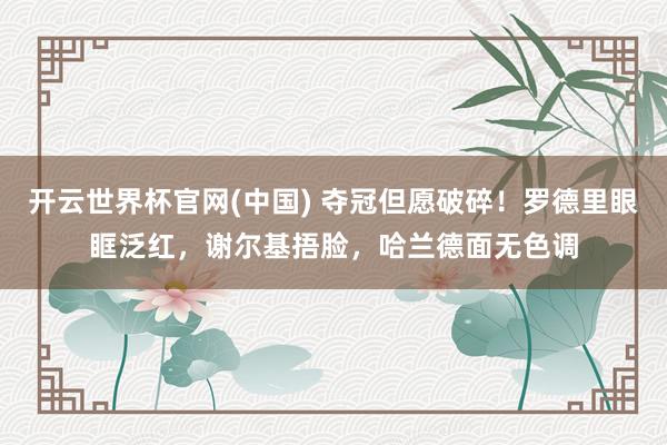 开云世界杯官网(中国) 夺冠但愿破碎！罗德里眼眶泛红，谢尔基捂脸，哈兰德面无色调