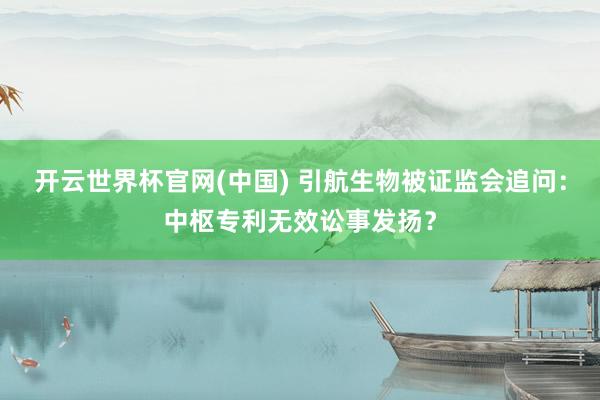 开云世界杯官网(中国) 引航生物被证监会追问:中枢专利无效讼事发扬?