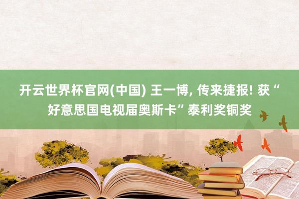 开云世界杯官网(中国) 王一博, 传来捷报! 获“好意思国电视届奥斯卡”泰利奖铜奖