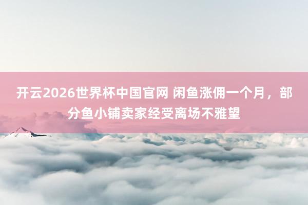 开云2026世界杯中国官网 闲鱼涨佣一个月，部分鱼小铺卖家经受离场不雅望