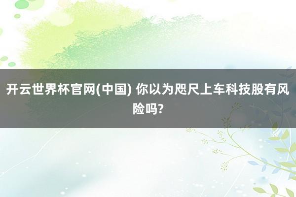 开云世界杯官网(中国) 你以为咫尺上车科技股有风险吗?