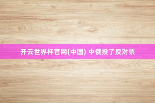 开云世界杯官网(中国) 中俄投了反对票