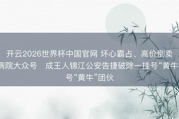 开云2026世界杯中国官网 坏心霸占、高价倒卖华西病院大众号   成王人锦江公安告捷破除一挂号“黄牛”团伙