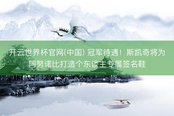 开云世界杯官网(中国) 冠军待遇！斯凯奇将为阿努诺比打造个东谈主专属签名鞋