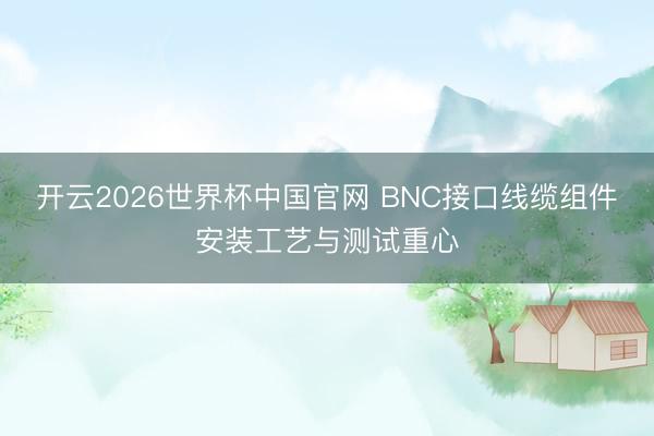 开云2026世界杯中国官网 BNC接口线缆组件安装工艺与测试重心