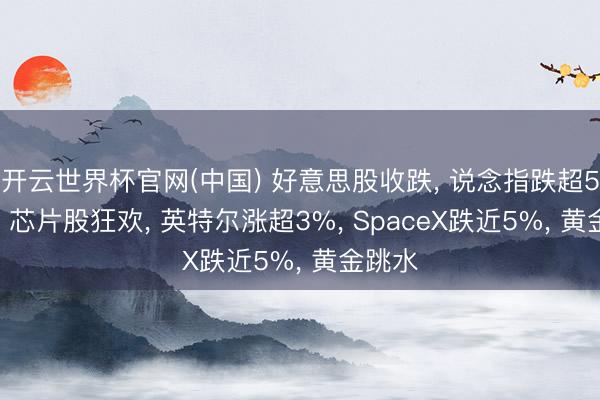 开云世界杯官网(中国) 好意思股收跌, 说念指跌超500点, 芯片股狂欢, 英特尔涨超3%, SpaceX跌近5%, 黄金跳水