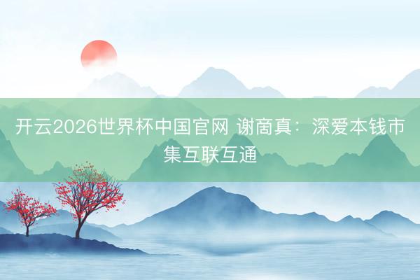开云2026世界杯中国官网 谢啇真：深爱本钱市集互联互通